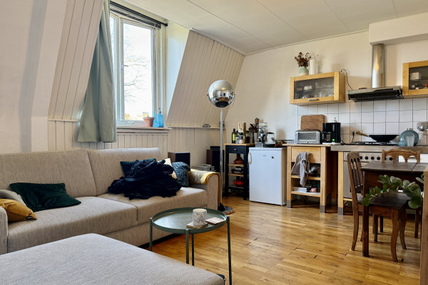 apartments for rent on Antoon van Elenstraat